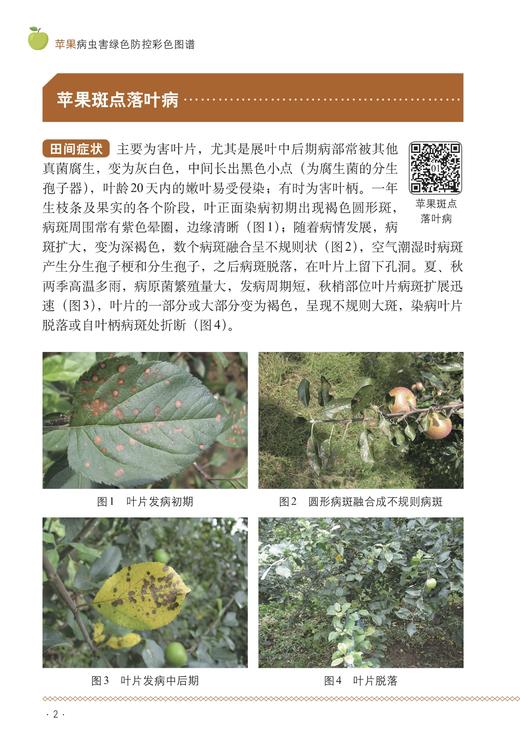 苹果病虫害绿色防控彩色图谱【园艺学会】 商品图2