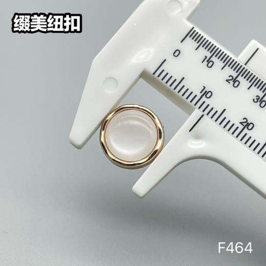 F464(整包购买) 商品图4
