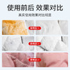 环保茶皂配方德国ONEFULL洗羽绒服清洗剂免水洗清洁剂干洗去污渍神器家用专用免洗 商品缩略图3
