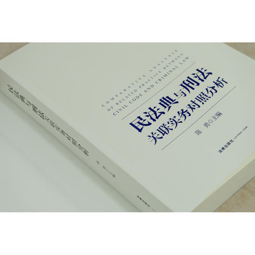 民法典与刑法关联实务对照分析  陈勇主编 商品图3