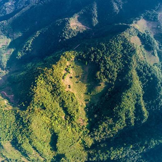 第2份半价！吉顺号高端古树茶2018年《凤凰窝》古树春茶普洱生饼200g/饼 商品图2