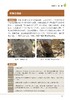 苹果病虫害绿色防控彩色图谱【园艺学会】 商品缩略图4