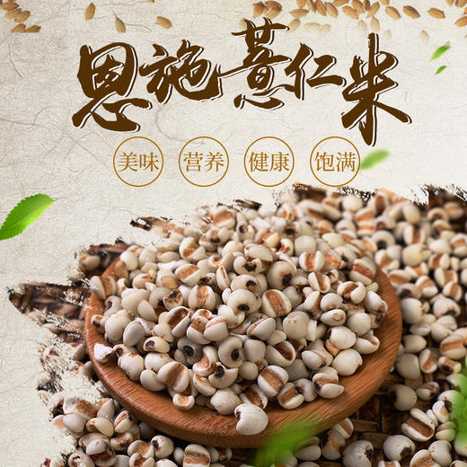 【恩施】黄四姐薏仁米 320g 商品图1