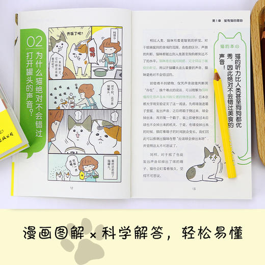 猫之书 100种猫咪行为,解读猫主子的真心话 商品图3