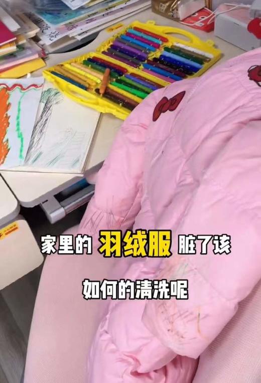 5分钟搞定羽绒服清洗 商品图0