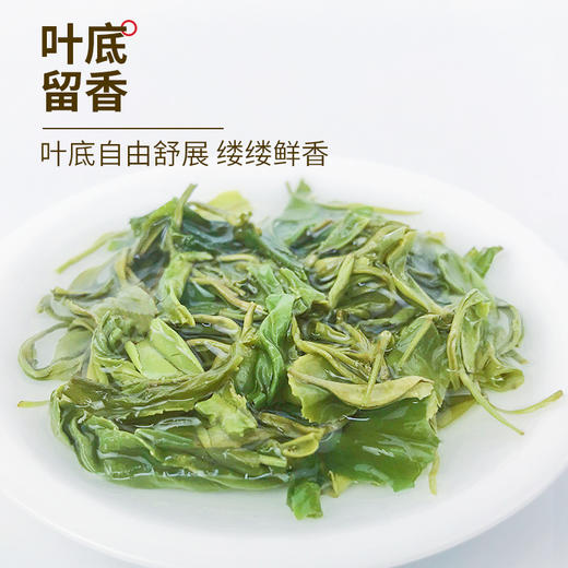 【恩施】金果 芳讯香茶  绿茶  250g/袋 商品图4