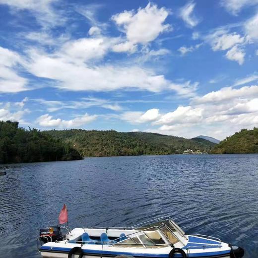 有机桂花鱼/云南高原水库 商品图4