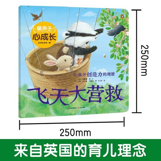 飞天大营救 商品图3