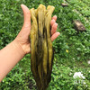 生态酸菜 | 绿家自产*Eco-pickles | Self-production 商品缩略图4