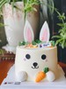 萌兔造型款 商品缩略图1