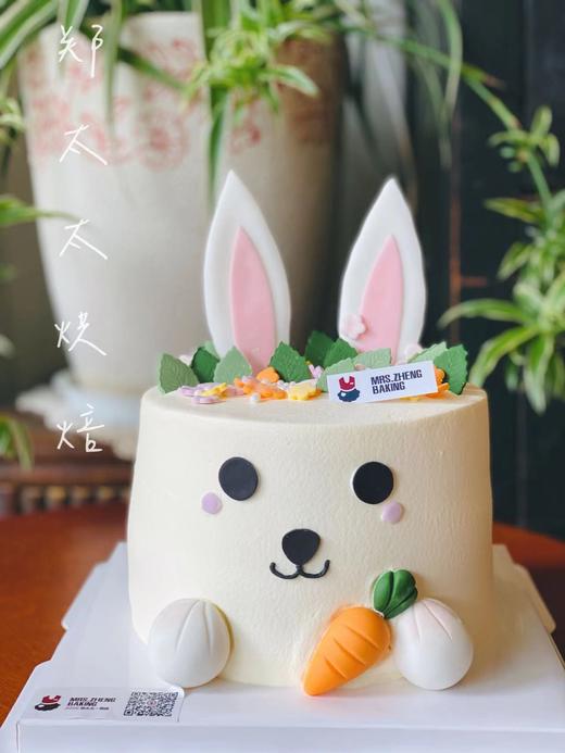 萌兔造型款 商品图1