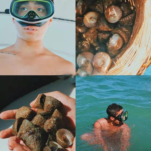 【体验活动】博鳌·潭门潜水捕捞一日游品海鲜大餐(纯玩2人精致小团+专属司导+一龄接送） 商品图1