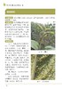 苹果病虫害绿色防控彩色图谱【园艺学会】 商品缩略图5