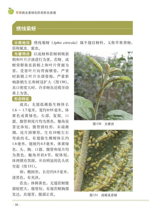 苹果病虫害绿色防控彩色图谱【园艺学会】 商品图5