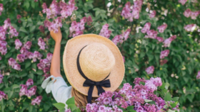 基础知识及问答（必备技能）