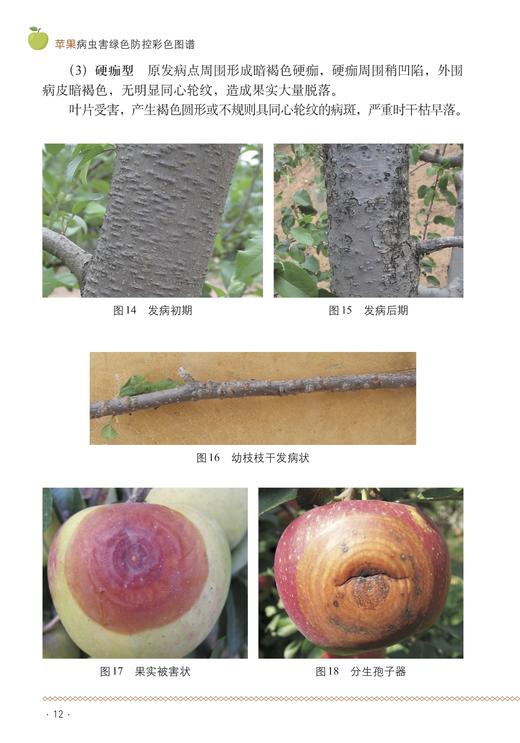 苹果病虫害绿色防控彩色图谱【园艺学会】 商品图3