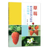 温室草莓栽培技术（适用北方） 商品缩略图2
