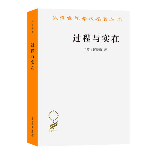过程与实在 商品图0