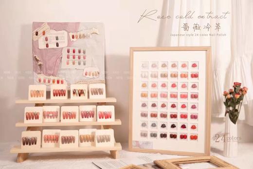 蔷薇冷萃24色套装 商品图2