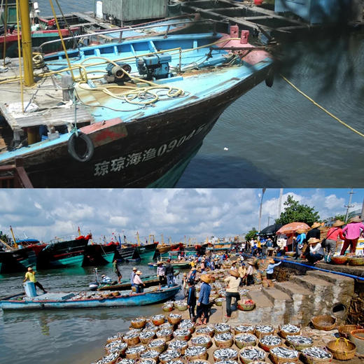 【体验活动】博鳌·潭门潜水捕捞一日游品海鲜大餐(纯玩2人精致小团+专属司导+一龄接送） 商品图3