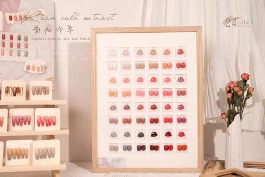 蔷薇冷萃24色套装 商品图1