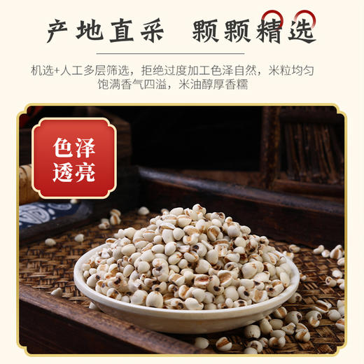 【恩施】黄四姐薏仁米 320g 商品图3