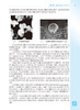 血液系统与疾病 第2版 全国高等学校器官系统整合教材 张梅 胡豫 孙连坤供临床医学及相关专业用人民卫生出版社9787117322898 商品缩略图4