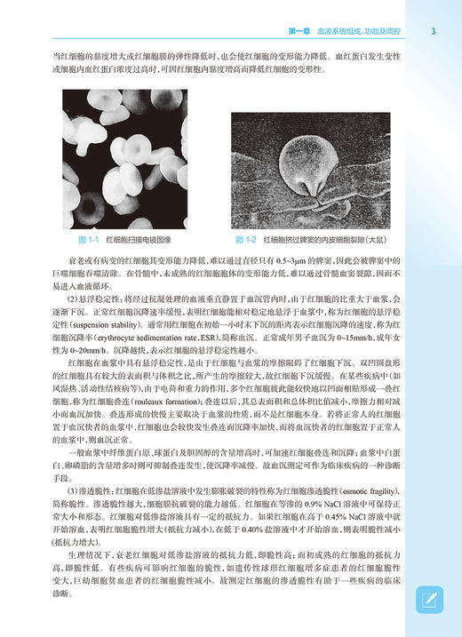 血液系统与疾病 第2版 全国高等学校器官系统整合教材 张梅 胡豫 孙连坤供临床医学及相关专业用人民卫生出版社9787117322898 商品图4