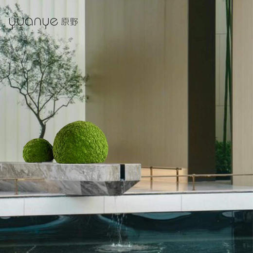 仿真永生苔藓球绿植造景摆件售楼部酒店会所软装中式花艺设计摆设 商品图3