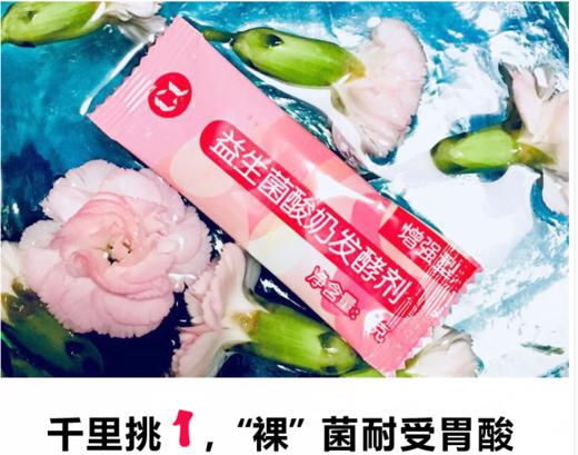 （不惧胃酸的增强型益生菌）酸奶发酵菌粉（每包1g*10袋） 家用原味乳酸菌干酪乳杆菌张！基地直邮 商品图0