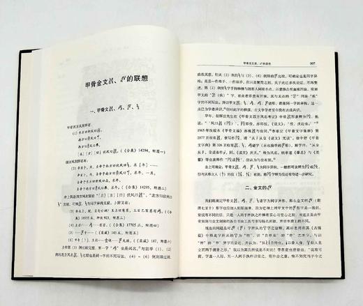 《契文释录》，精装，小16开，彭邦炯著，上海书店2017年版，定价98，售价48元。 商品图9