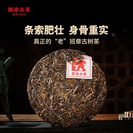 澜沧古茶时光仓老茶2018年压制老班章普洱茶生茶古树茶叶345g 商品图1