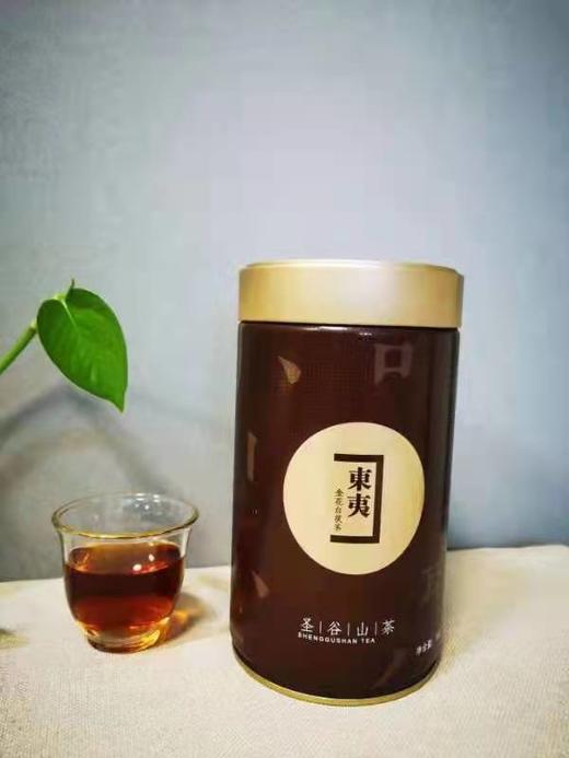 蝈蝈喝茶 甄选 北方茯茶——东夷白茯茶 商品图3