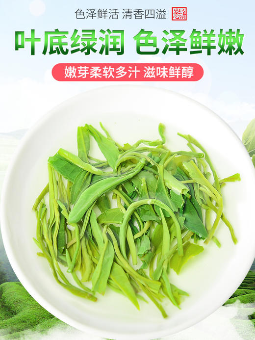 【恩施】金果 尚家村绿茶 250g/袋 商品图3