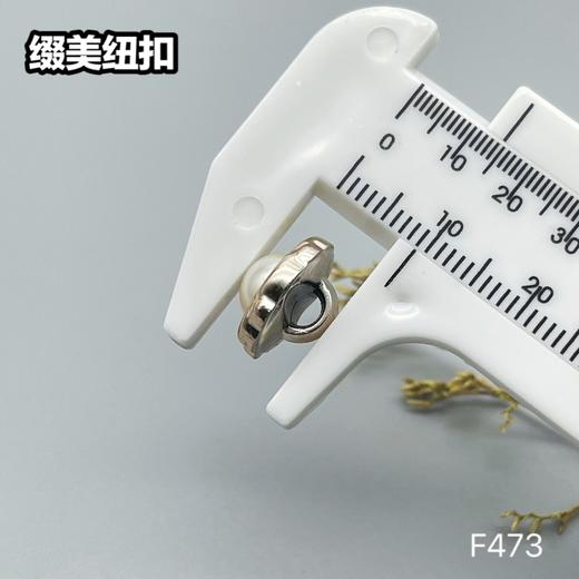 F473(整包购买) 商品图5