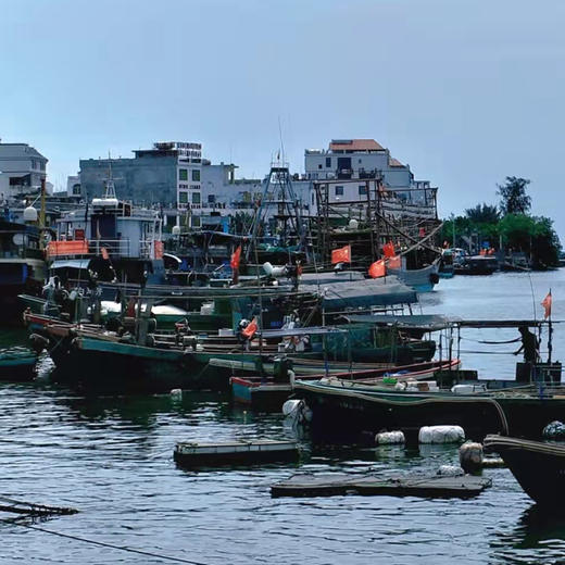 【体验活动】博鳌·潭门潜水捕捞一日游品海鲜大餐(纯玩2人精致小团+专属司导+一龄接送） 商品图6
