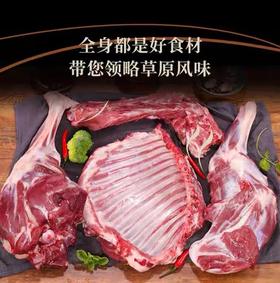 草之味 苏尼特羊肉 羔羊八块30斤
