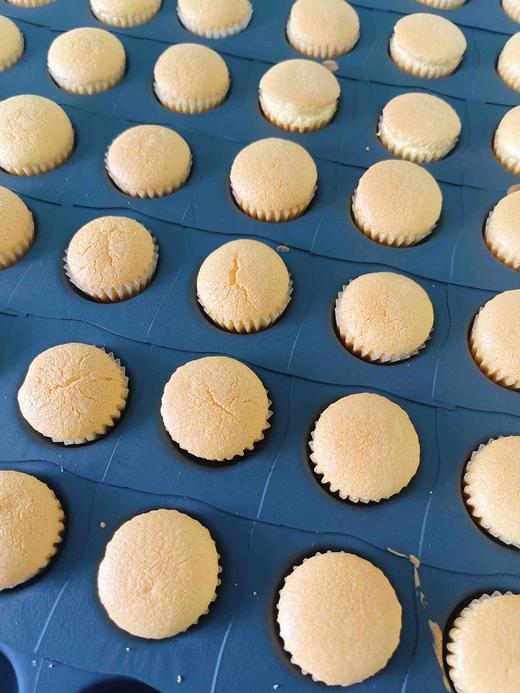 一口海绵小蛋糕 商品图2