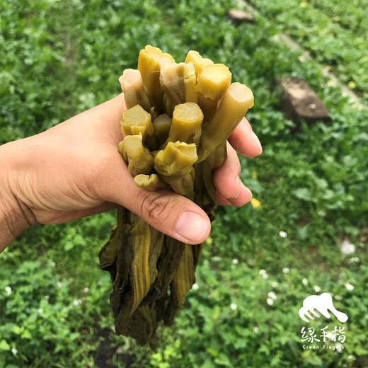 生态酸菜 | 绿家自产*Eco-pickles | Self-production 商品图3