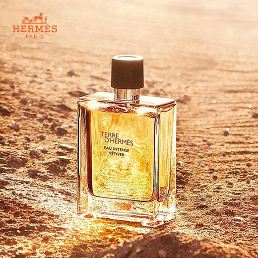 爱马仕 大地男士浓香香水 商品图1