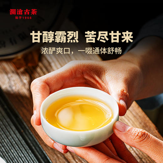 澜沧古茶时光仓老茶2018年压制老班章普洱茶生茶古树茶叶345g 商品图3