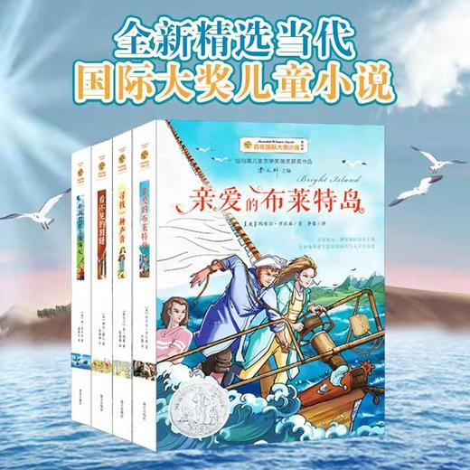百年国际大奖小说-突破成长系列（全4册） 商品图5