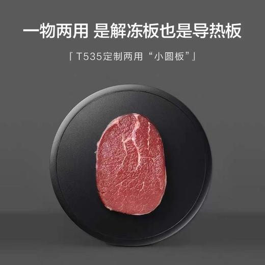 【已下架】预售 | Buydeem北鼎 导热板解冻二合一[福利品] 商品图0