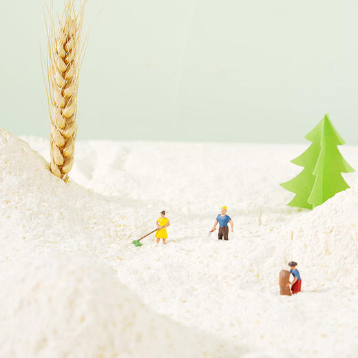 新良妈咪宝焙胚芽自发粉1kg 南瓜味婴儿胚芽面粉宝宝果蔬自发面粉 商品图6