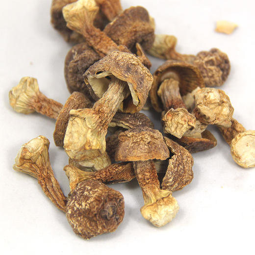 【从化帮扶】粤清香姬松茸90g*1瓶 商品图2