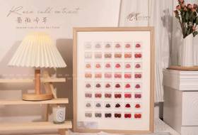 蔷薇冷萃24色套装