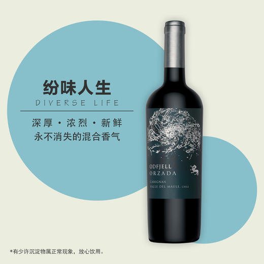 【买五送一】奥菲庄舵手佳丽酿红葡萄酒 智利原装进口红酒14.5%vol 750ml 商品图0