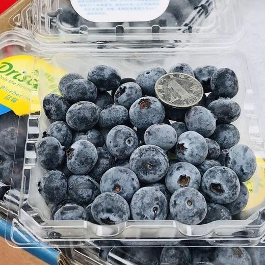 怡颗莓 蓝莓 味道浓郁 商品图1