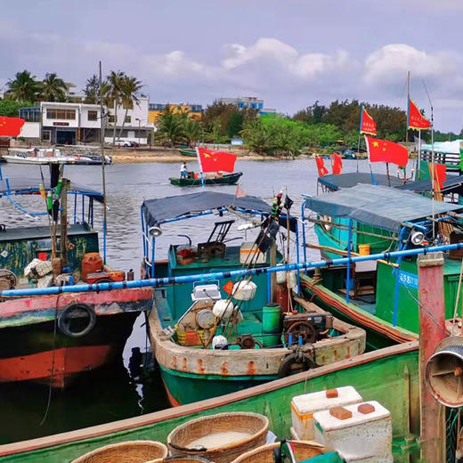 【体验活动】博鳌·潭门潜水捕捞一日游品海鲜大餐(纯玩2人精致小团+专属司导+一龄接送） 商品图2