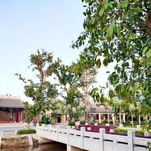 【一日游】博鳌周边 · 网红深度观光一日游蔡家宅+沙美村+海的故事(纯玩2人精致小团+专属司导+一龄接送） 商品图7